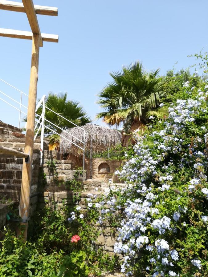 Lemon Tree Cottage Finikounda Zewnętrze zdjęcie