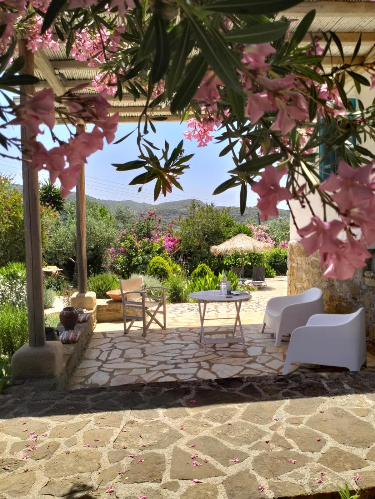 Lemon Tree Cottage Finikounda Zewnętrze zdjęcie